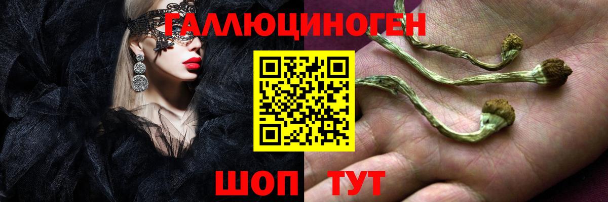 Псилоцибиновые грибы MAGIC MUSHROOMS  Вход с VPN  Коммунар  Галлюциногенные грибы Cubensis 