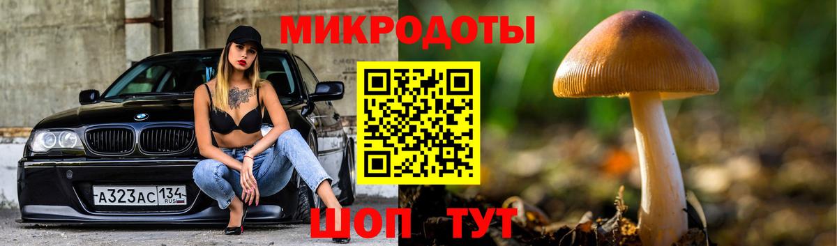 Псилоцибиновые грибы мицелий Коммунар